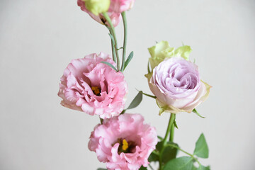 Obraz premium 薔薇とトルコ桔梗