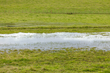 Climate change causing flooded grass field with standing water. Wooden fence along edge