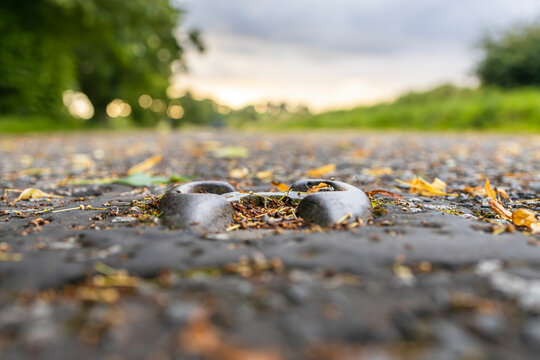 Close-up of old road stud or catseyes embedded in asphalt of a disused road, surrounded by fallen leaves