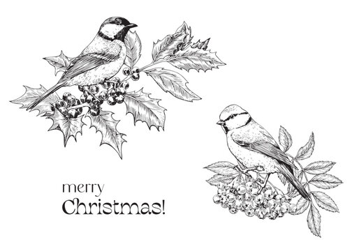 Vintage illustration Merry Christmas and happy new year. A branch of a holly and rowan tree with tit birds, black white. Hand drawn Engraved elements. Vector background for design greeting card poster