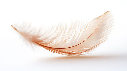 Obraz premium Of a delicate, transparent feather floating in the air, representing the lightness and purity of the soul, clean white background. 