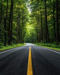 Obraz premium Winding road surrounded by lush green trees and foliage.