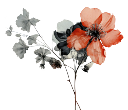 PNG Wild flower art painting graphics.