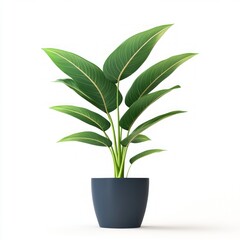 3d illustration of houseplant in potted on white background.