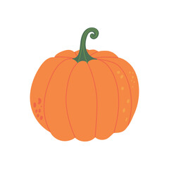 Beautiful big orange pumpkin isolated on white background. Hand drawn vector flat colored illustration. Symbol of thanksgiving day, autumn, happy halloween