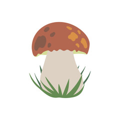 Beautiful edible porcini boletus edulis mushroom in grass isolated on white background. Hand drawn vector flat illustration, Silent mushroom hunting, autumn symbol