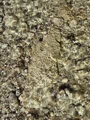 close-up of stones in clear, transparent water. light refraction. nature pattern. natural. aesthetic. mockup. product photography 