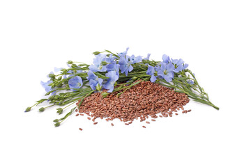 flaxseed and blue flax flowers