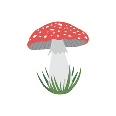 Beautiful red fly agaric amanita mushroom in grass isolated on white background. Hand drawn vector flat illustration. Poisonous mushroom, nature, autumn symbol, icon