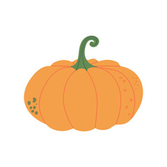 Beautiful big orange pumpkin isolated on white background. Hand drawn vector flat colored illustration. Symbol of thanksgiving day, autumn, happy halloween
