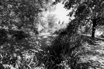 View of Prague Castle from Petrin Hill, rich vegetation in the foreground and the castle in the background, black and white photo.