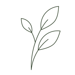 Leaf Line Decoration
