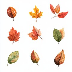 Obraz premium Watercolor set of autumn leaves, great for any purpose and with a botanical background.