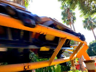 A yellow roller coaster zooms past, capturing the thrill of motion. Surrounded by palm trees under bright sunlight, this image embodies the rush of adrenaline and amusement park fun.