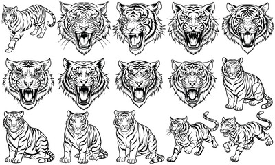 Beautiful Tiger Coloring Page for Adults, Intricate Line Art Design Perfect for Relaxation and Stress Relief, Ideal for Adult Coloring Books or Printable Art Therapy Activities, High-Quality Visuals.