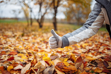 A man in gloves kneels on the ground, gathering fallen autumn leaves. Hand showing like with a thumb up.