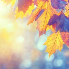 Fototapeta premium Light and leaves in an abstract autumn background