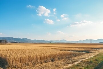 Winter countryside landscape sky outdoors horizon.