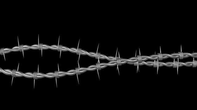 Barbed Wire on a Transparent Background. Restricted Area with Wire Fence. 4K
