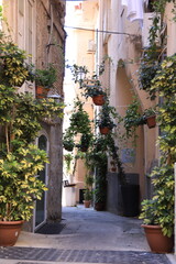 old street in the center of town of tropea, italy, calabria