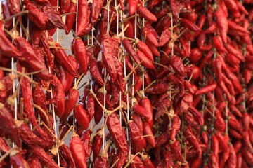 Fototapeta premium calabria hot chili peppers, peperoncini, italy, tropea