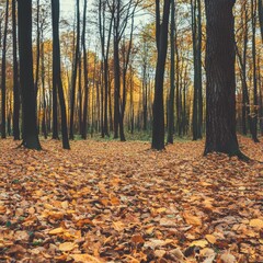 Fototapeta premium Vibrant Autumn Forest with Fallen Leaves