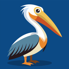 pelican on white background