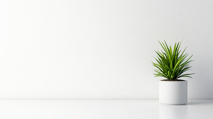 Minimalist Plant in Modern Pot on Clean Surface