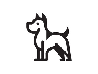 cat and dog