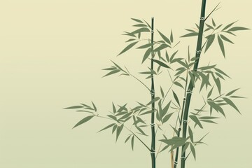 Fototapeta premium Bamboo backgrounds plant branch.