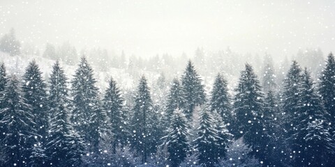 A snowy landscape with tall trees covered in snow forest winter outdoors.