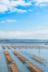 Fototapeta premium 日本三景 松島の海岸を歩く 