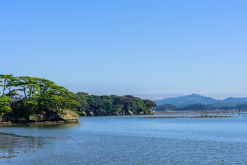 Naklejka premium 日本三景 松島の海岸を歩く 