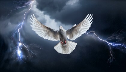 Obraz premium White Dove: Holy Spirit. Dove in a Stormy Sky