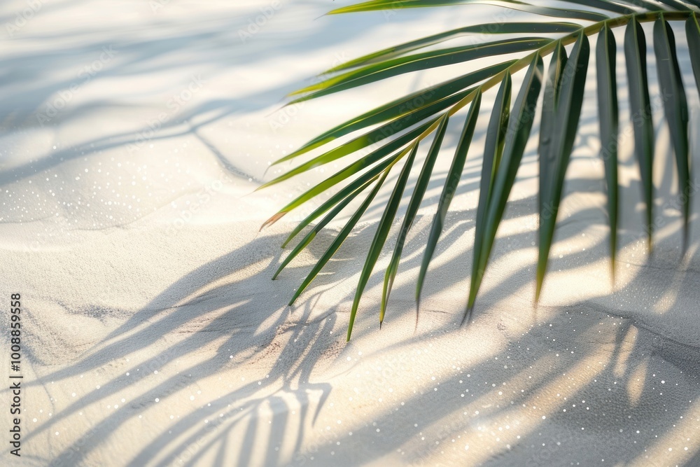 Wall mural White sand beach wallpaepr leaf vegetation arecaceae.