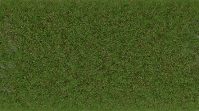 Moving over a plane of grass