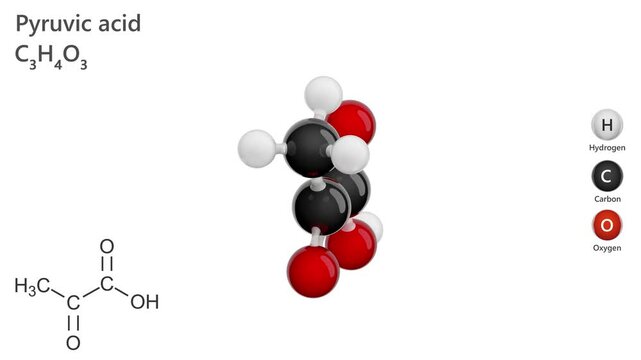 Structure of Pyruvic acid (C3H4O3). It is an organic compound produced during glucose metabolism. It plays a crucial role in cellular respiration and energy production. White back. 3D render
