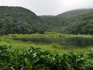 mysterious atmosphere in Grand etang, largest natural lake in lesser antilles, with tropical...