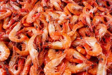 shrimps on the market