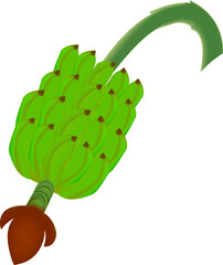 Row of bananas or cluster of plantains vector design on a white background © MstMafuza