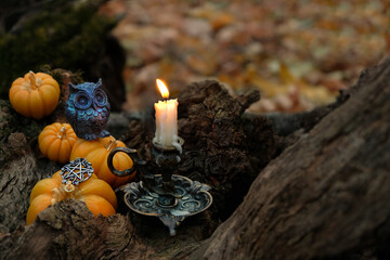 Naklejka premium decorative pumpkins and owl figurine and burn candle in autumn forest, dark abstract background. mystery fairy scene. samhain sabbat, Halloween holiday. Witchcraft, magic. esoteric spiritual ritual.