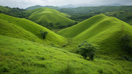 Fototapeta premium Lush green hills under cloudy skies in a serene landscape during the daytime