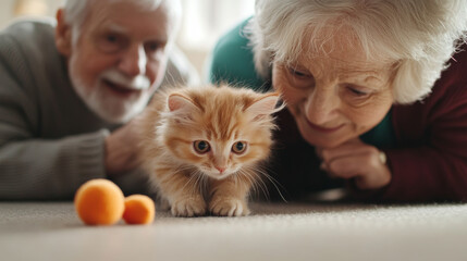 Loving elderly couple playing with playful orange kitten on floor, surrounded by colorful balls. Their joyful expressions reflect warmth of companionship and joy of pet ownership