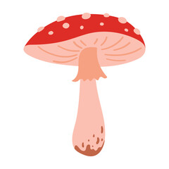 Fly agaric hand drawn illustration with red mushroom cap and white spots isolated on white background. Autumn forest poisonous mushroom. Fall season flora