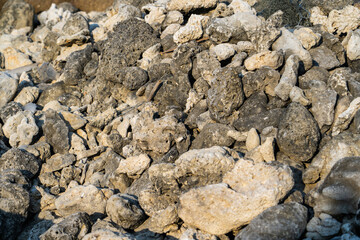 Textures of volcanic rock scattered across a coastal area during late afternoon light, highlighting natural formations and colors