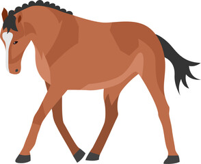 Vector flat illustration of Brown horse 