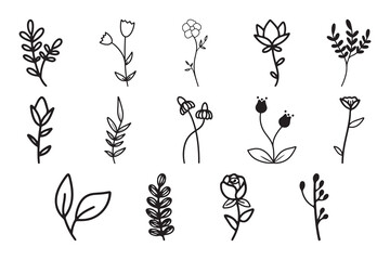 set of black and white flowers