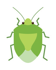 緑色のカメムシのイラスト（ツヤアオカメムシ）