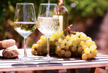 Glass of White wine ripe grapes and bread on table in vineyard