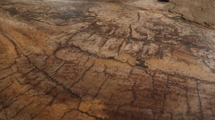 Empty wooden table top, brown color